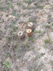 Lachin police found mines - PHOTO