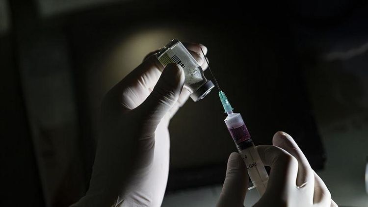 WHO urges 'immediate' donation of 10M vaccine doses