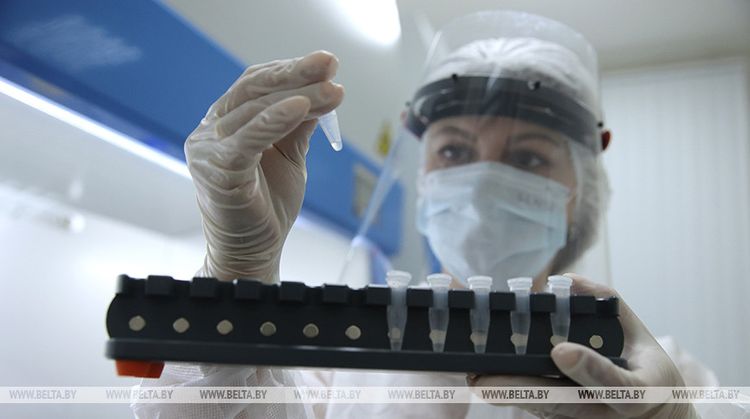 Belarus reports 1,050 new COVID-19 cases, 1,319 recoveries in past 24 hours