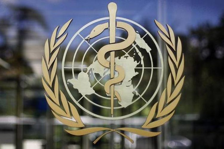 WHO releases report on COVID-19 origin-tracing joint study with China