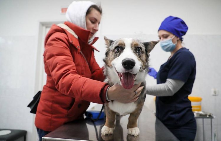 Russia registers world's first COVID-19 vaccine for animals, Agricultural watchdog says