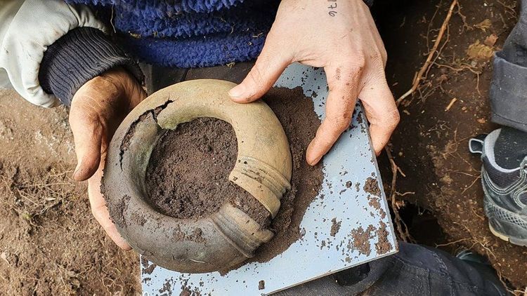 Bronze Age treasure found in Swedish forest by mapmaker - PHOTO