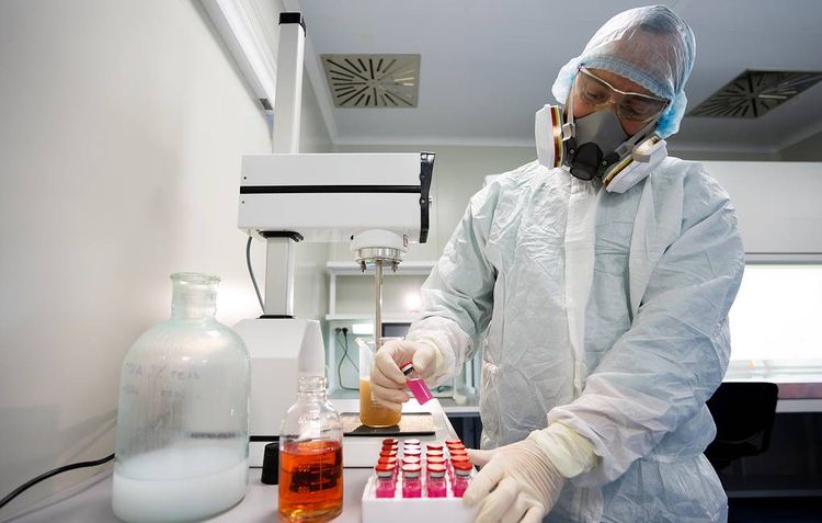 Number of COVID-2019 cases across globe up by over 878,000 in past day, reports WHO