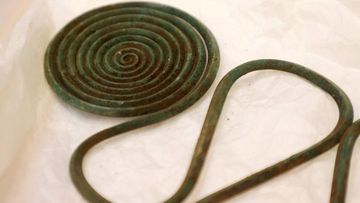 Bronze Age treasure found in Swedish forest by mapmaker - PHOTO