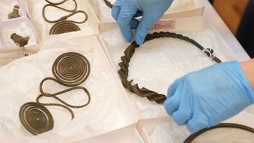 Bronze Age treasure found in Swedish forest by mapmaker - PHOTO