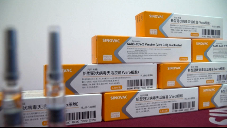 EU regulator begins real-time review of first Chinese COVID-19 vaccine