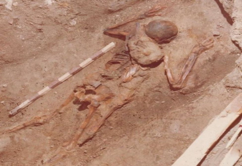 Vesuvius ancient eruption rescuer identified at Herculaneum, says expert