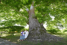 President Ilham Aliyev visited secondary school No 1 and Saint Elisæus Jotaari Church in Nij settlement, Gabala-UPDATED 