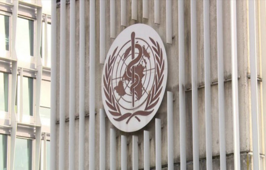 Deaths from long working hours on the rise, says WHO