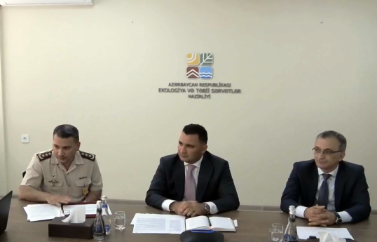 MENR: More than 54 thousand hectares of forest fund destroyed in liberated territories from occupation