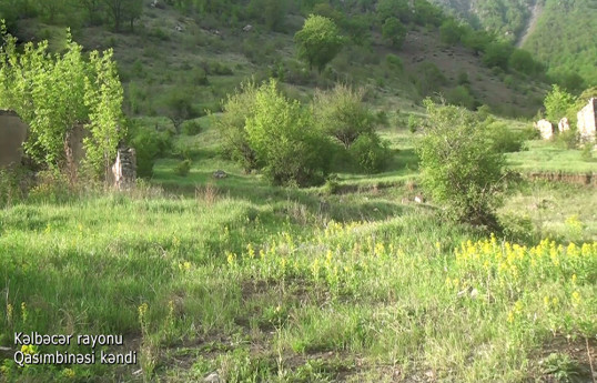 Azerbaijani MoD releases video footage of the Gasimbinesi village of the Kalbajar region-VIDEO 
