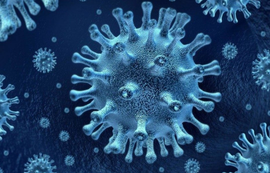 Kyrgyzstan reports 308 new cases of coronavirus, 8 deaths
