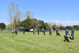 Turkish Defense Ministry presents mine detection dogs to the Azerbaijan's MES-PHOTO -VIDEO 