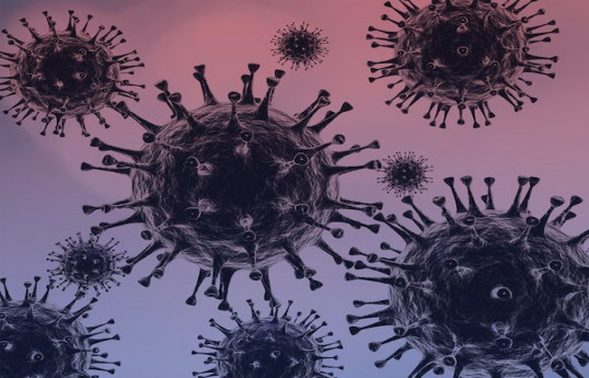 African scientists call for robust surveillance to boost COVID-19 fight