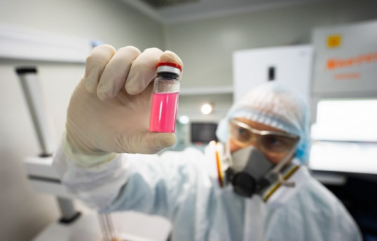 Russian regions begin vaccinating animals against COVID-19