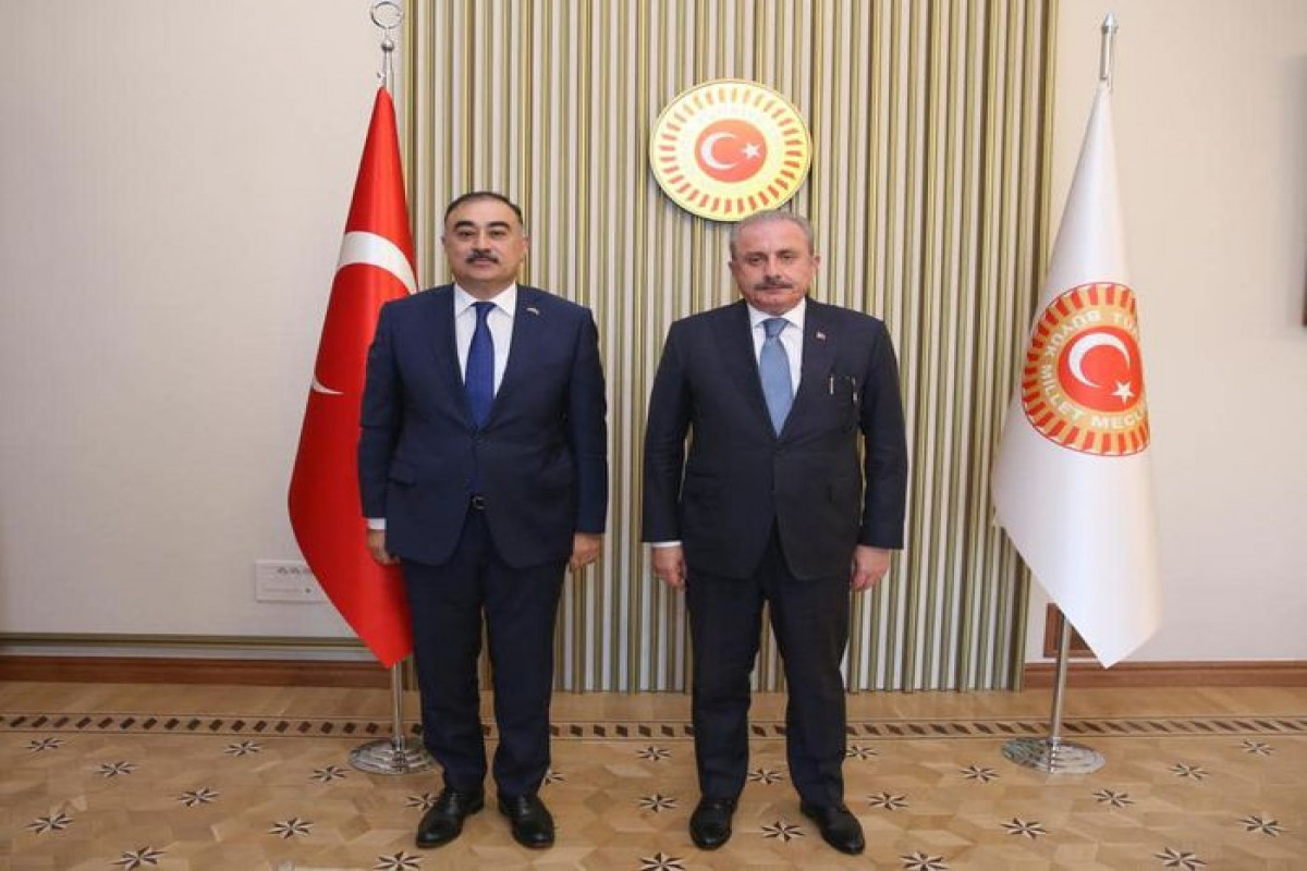 Rashad Mammadov, Mustafa Shentop