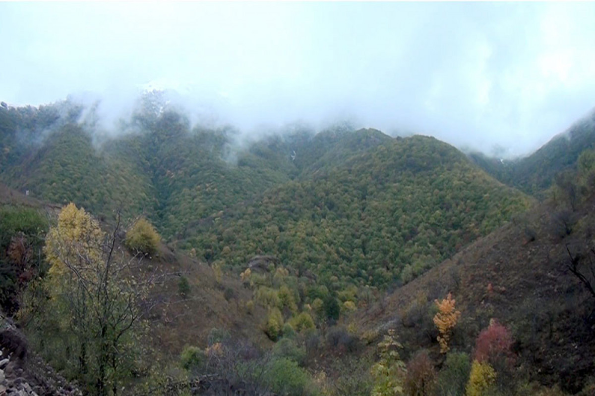 Azerbaijani MoD releases video footage of Takdam village of Kalbajar -VIDEO 