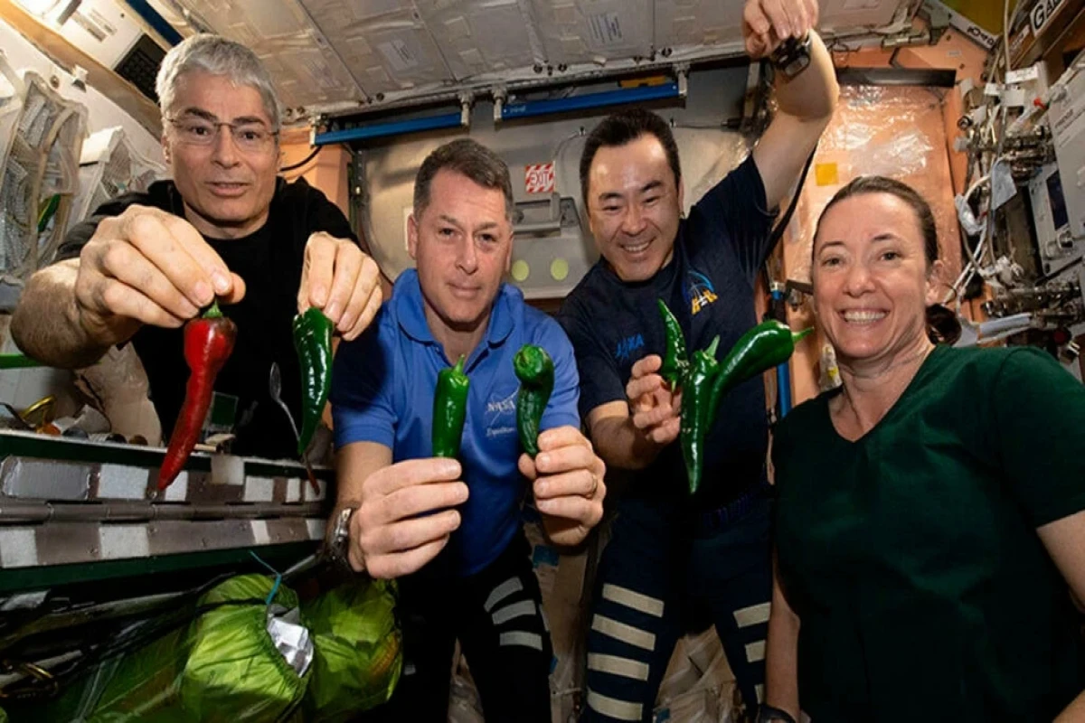 NASA to bring back astronauts to Earth next week after 6-month voyage