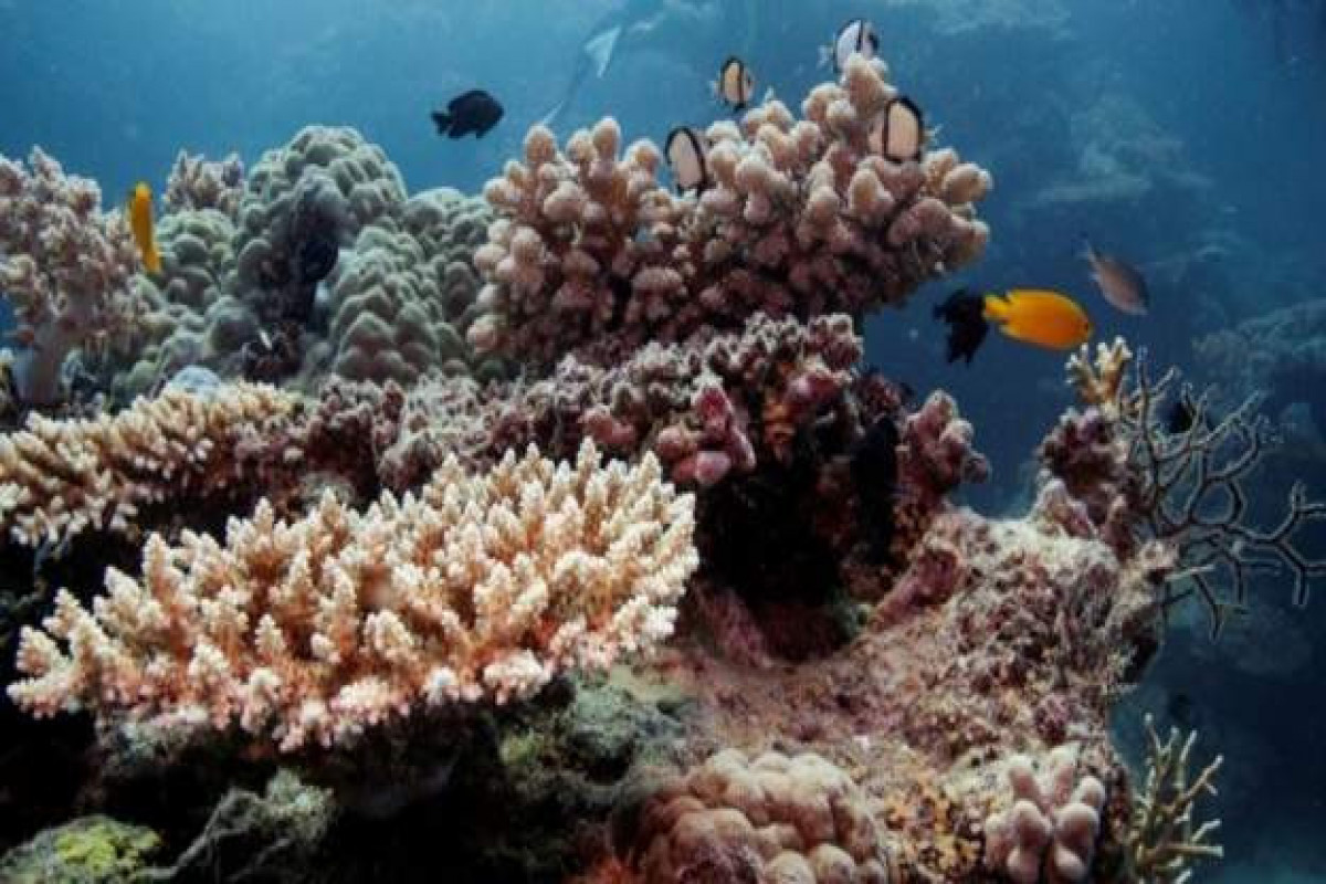 Governments vow to protect nature and improve farming methods