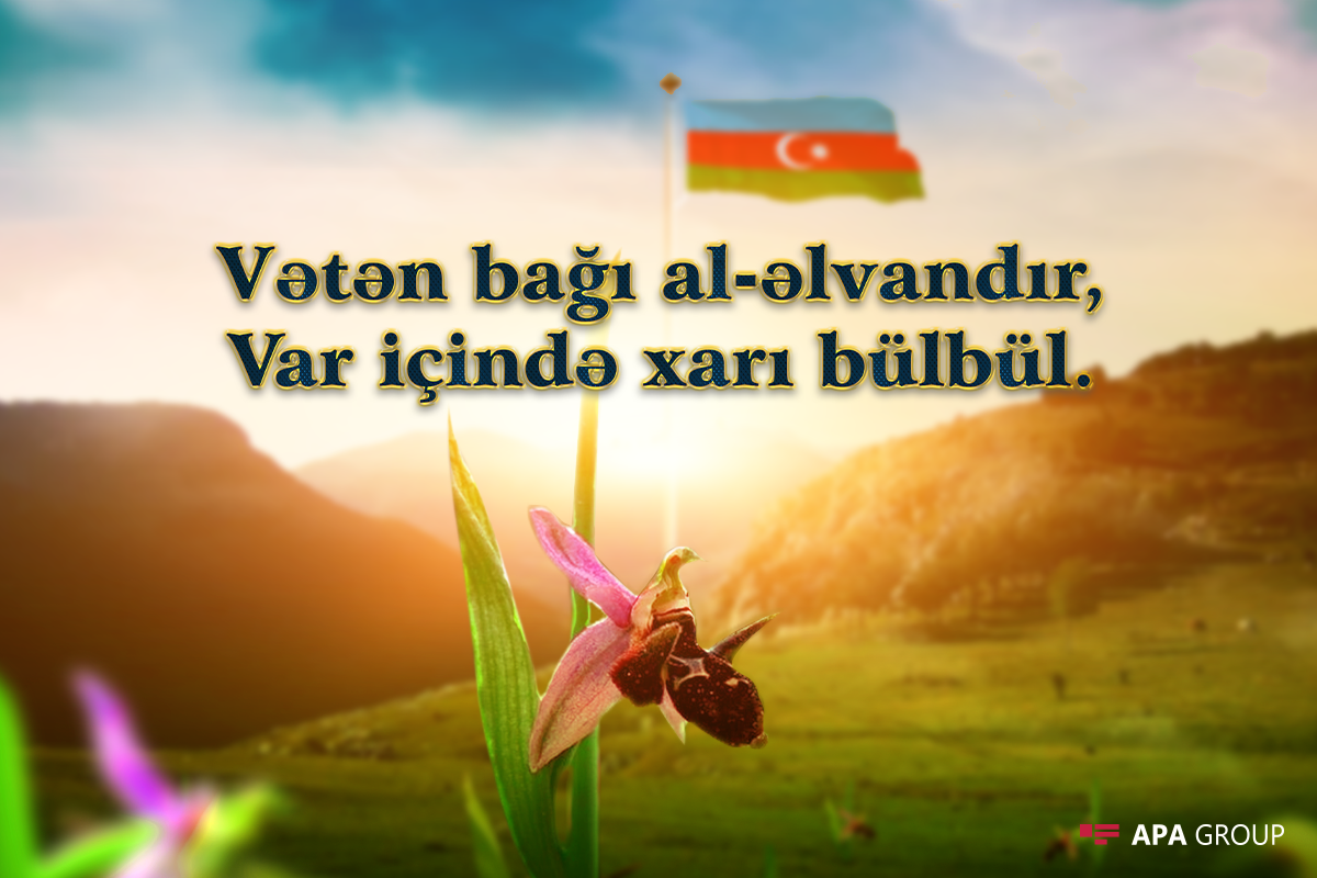Azerbaijan celebrates Day of Shusha's liberation from Armenian occupation