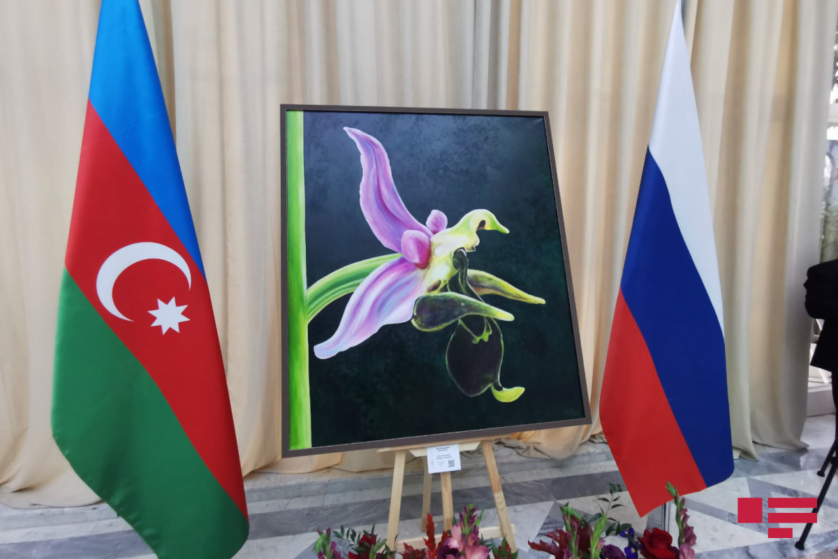 Photo exhibition dedicated to Victory Day and National Flag Day opened in Moscow-PHOTO 