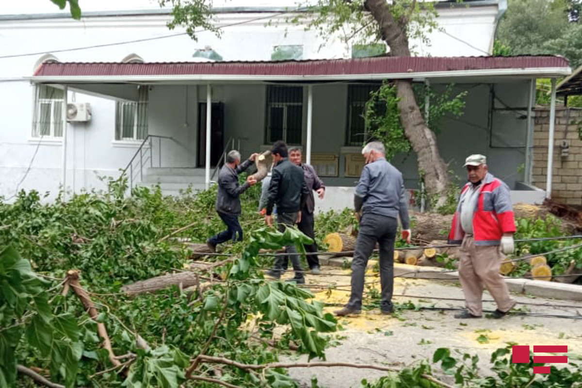 11 people injured due to wind in Baku