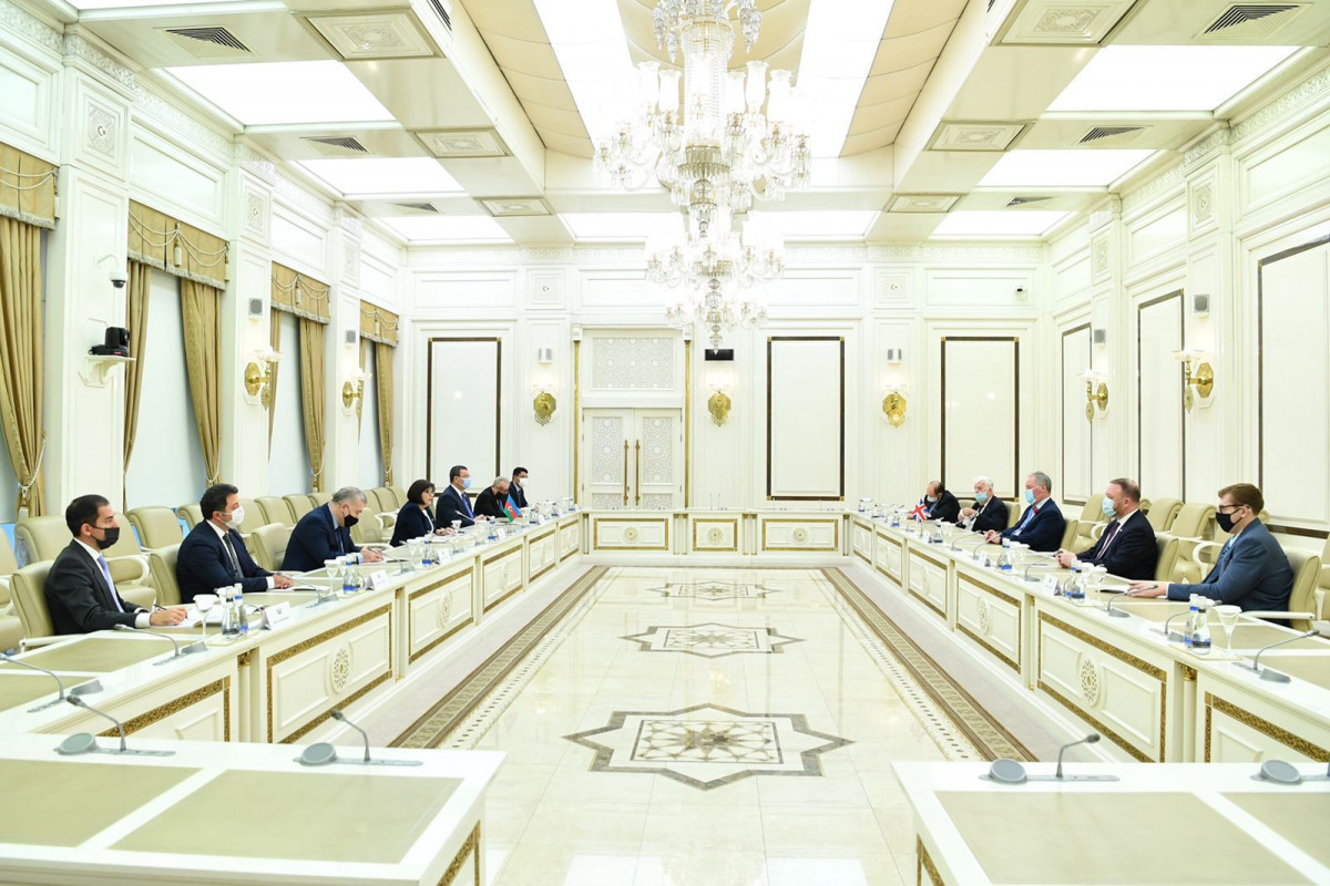 Sahiba Gafarova meets with head of British-Azerbaijani Interparliamentary Friendship Group
