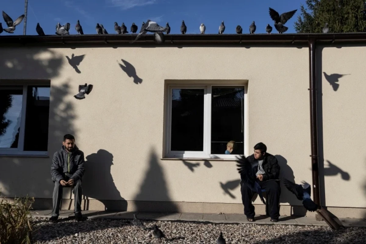 Hundreds of Iraqis repatriated from Belarus amid border crisis