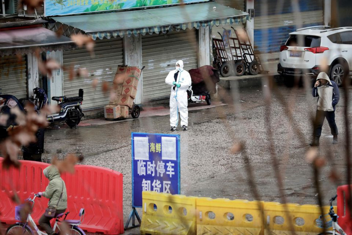 Market in China's Wuhan likely origin of COVID-19 outbreak