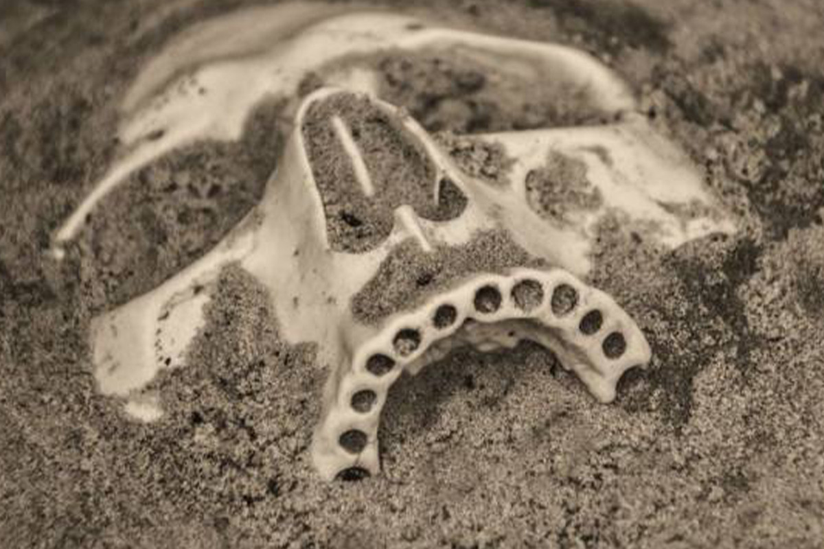 Human bones found in Azerbaijan's Gobustan