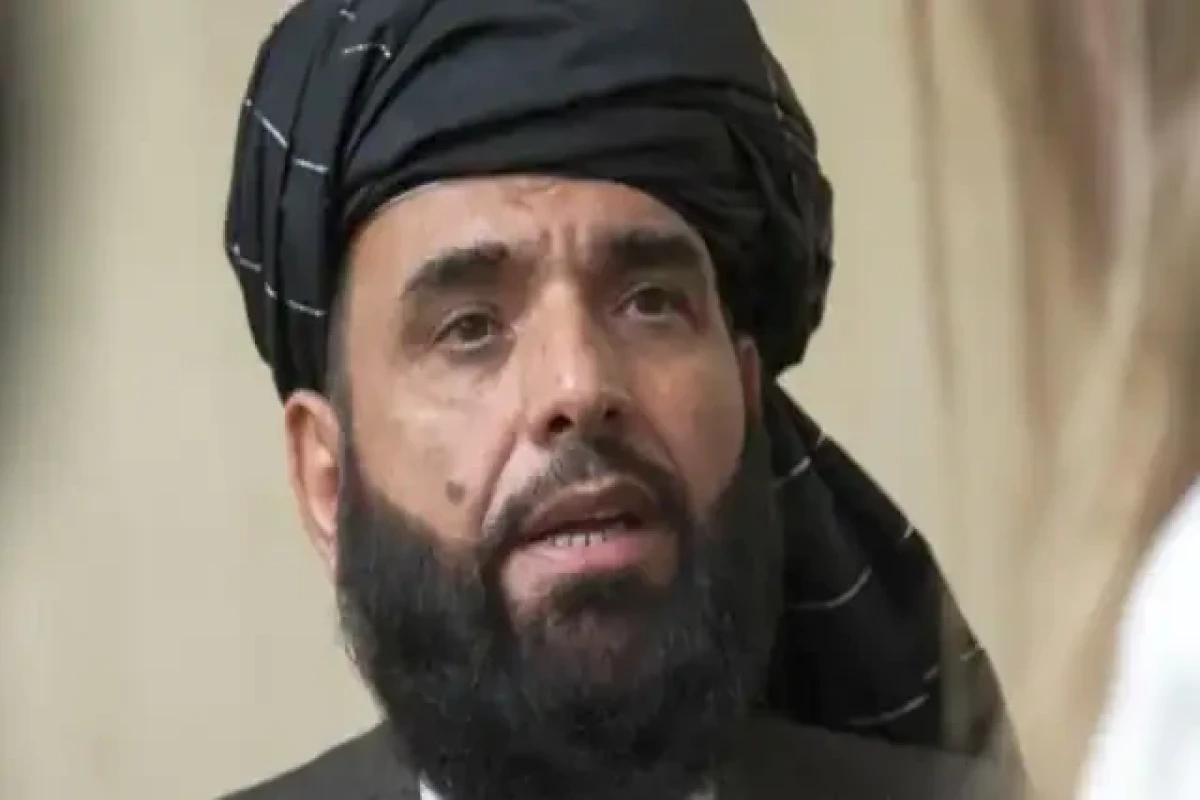 Muhammad Suhail Shaheen, the movement's envoy to the United Nations