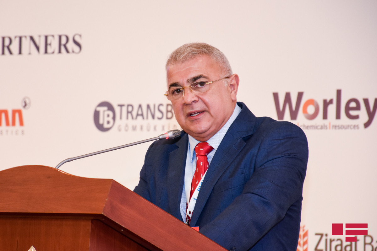 eputy Minister of Ecology and Natural Resources Rauf Hajiyev