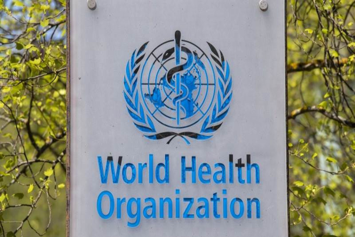 WHO names experts to investigate coronavirus pathogens
