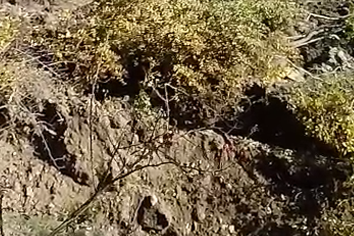 Landslide occurs in Azerbaijan’s Guba, 10 families evacuated