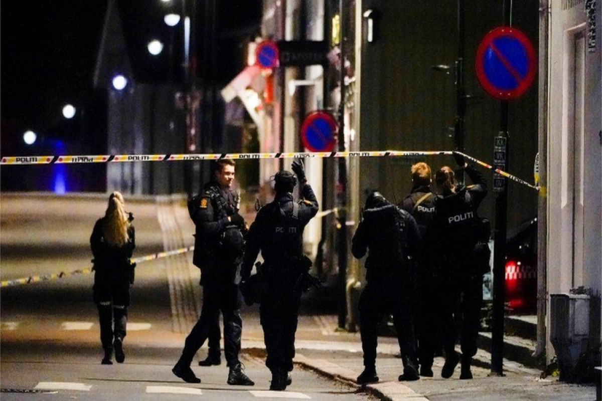 Several killed in Norway bow and arrow attack