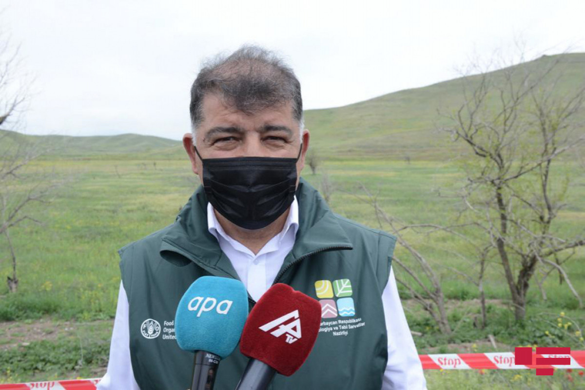 Firdovsi Aliyev