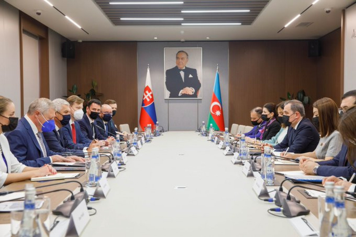Azerbaijani, Slovak FMs hold extended meeting