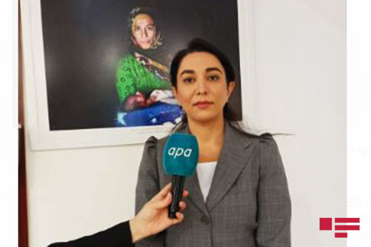 Azerbaijani Commissioner for Human Rights (Ombudsman) Sabina Aliyeva