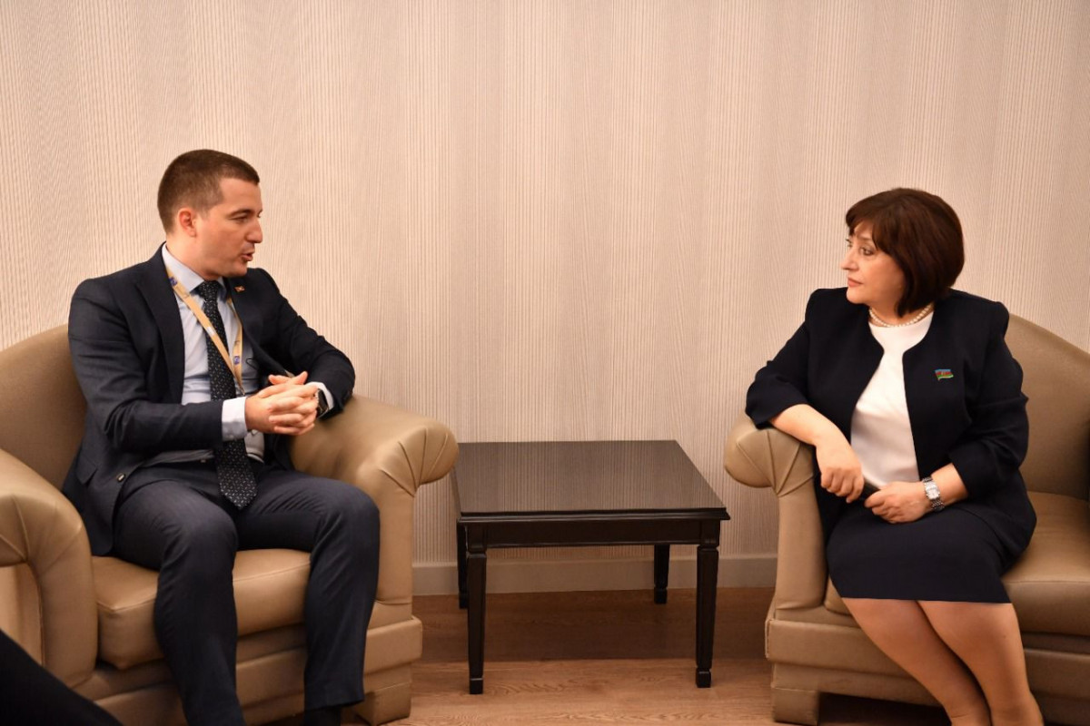 Chair of Milli Majlis meets Chairman of Montenegrin Parliament