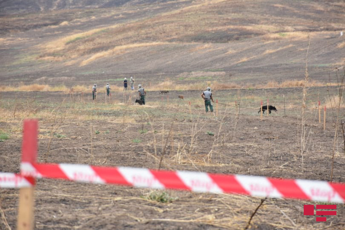 ANAMA cleared 5917 hectares of liberated territory from occupation of mines so far