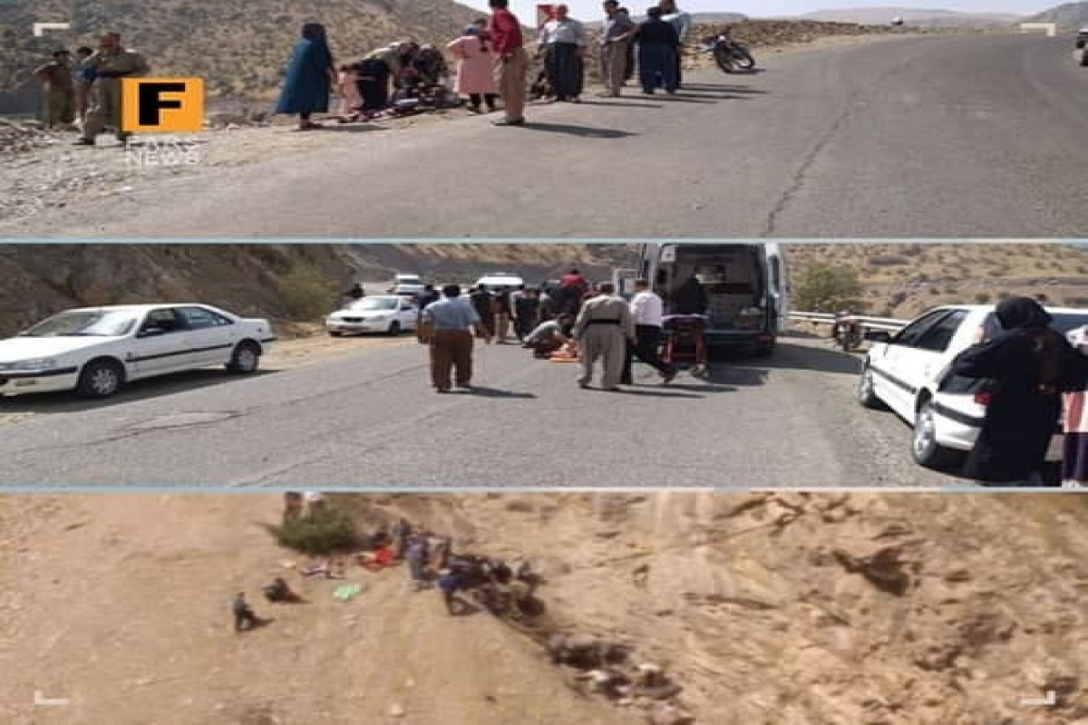Bus rollover in Iran kills 14