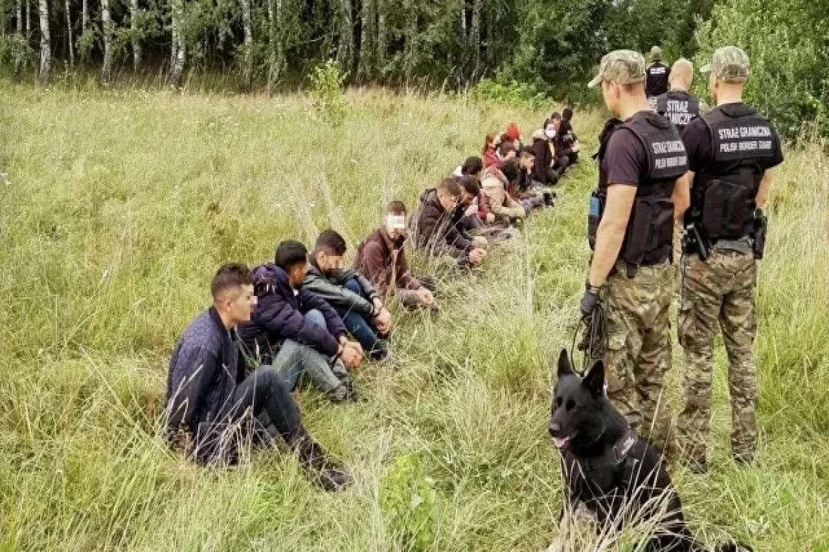 Polish President declares state of emergency in country's border regions with Belarus