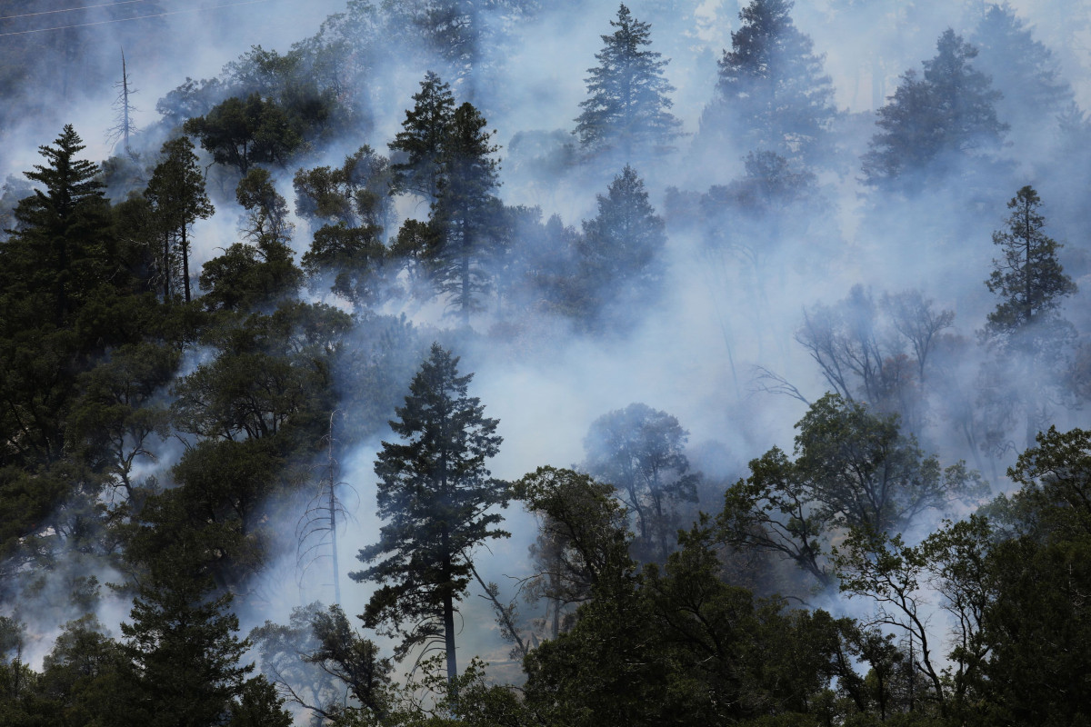 Wildfires are putting water supplies at risk, and corporate America is scared