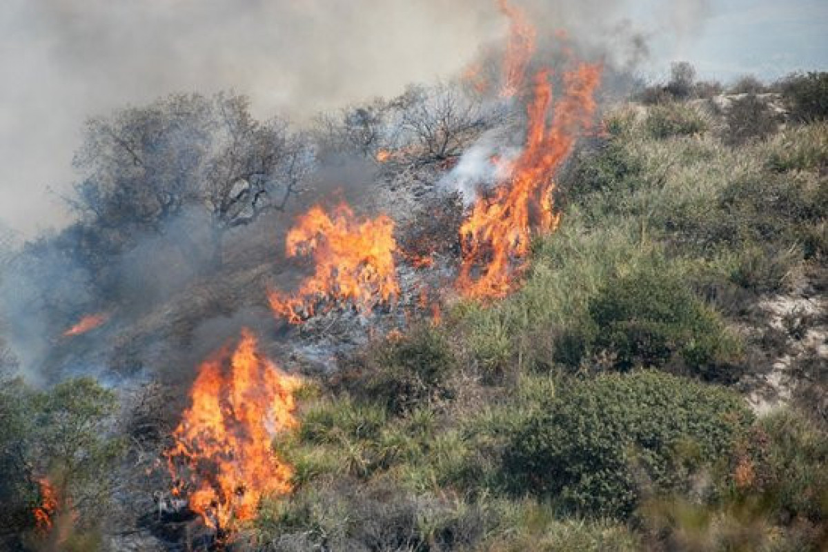 Fire in mountainous area in Badamdar extinguished-UPDATED -VIDEO 