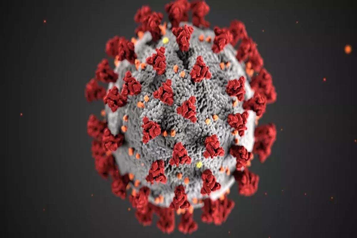 US scientist claims he heard about Covid breakout two weeks before Beijing reported first cases