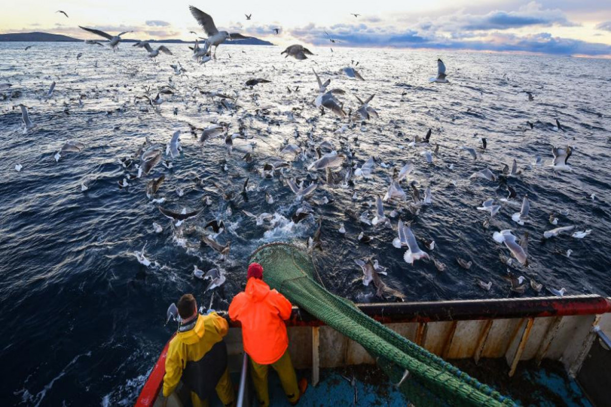 World's largest fishing forum to open in St. Petersburg on September 8-10