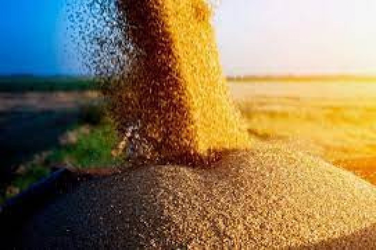 Customs duty on export of wheat and wheat flour from Azerbaijan, changed