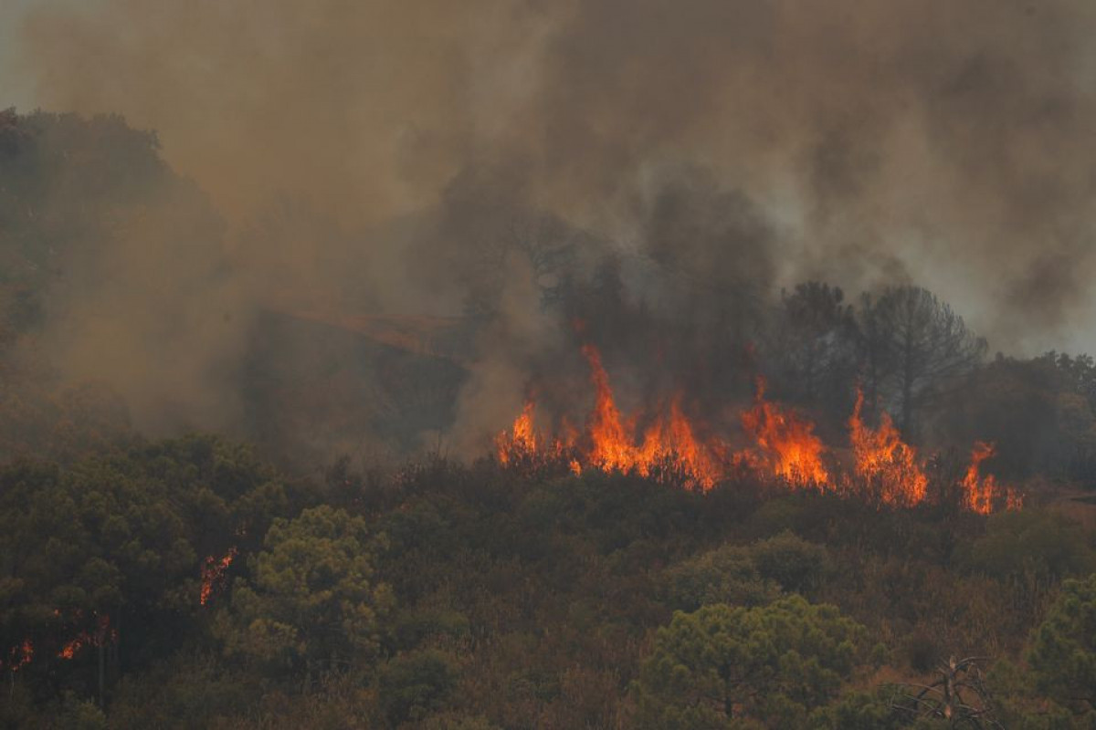 A wildfire burns on Sierra Bermeja mountain in Estepona, Spain