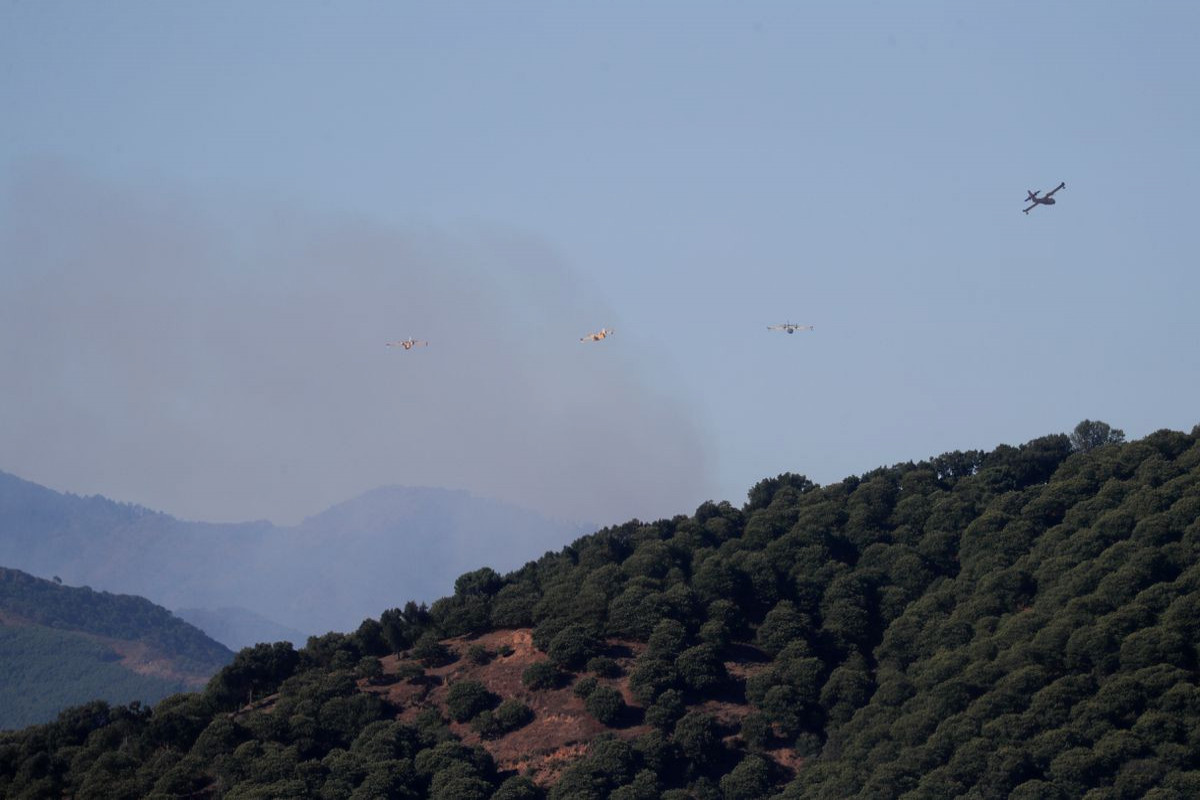 Strong winds, high temperatures fuel wildfire near Spanish resort