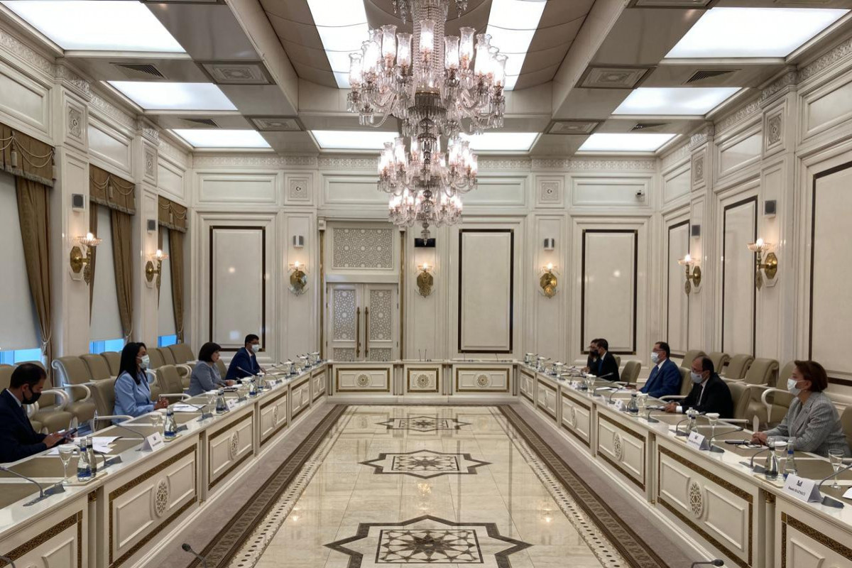 OIC Ombudsmen Association delegation meets with Speaker of Azerbaijani Parliament